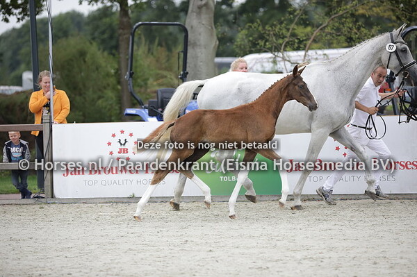 67 Painted White JK (For ferrero x Ziffora v. Polansky)