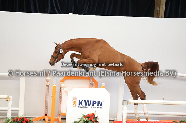 54 Conthargos x Air Jordan Z