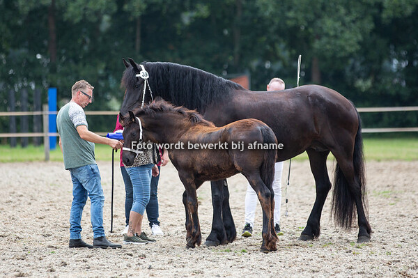 39. Odin van de Rugdijk