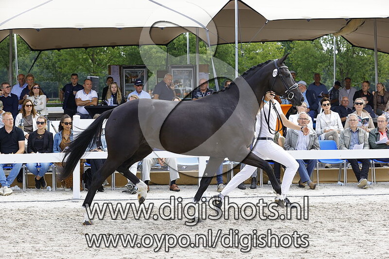 170 Nanilinda M v. Wynton