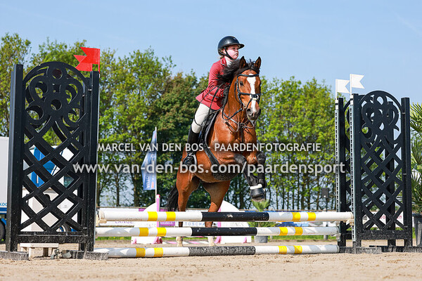 20240510-pony-40-50cm