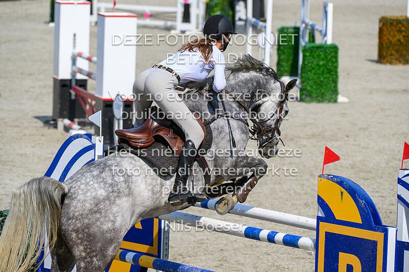 5 Paarden Klasse 130-135cm