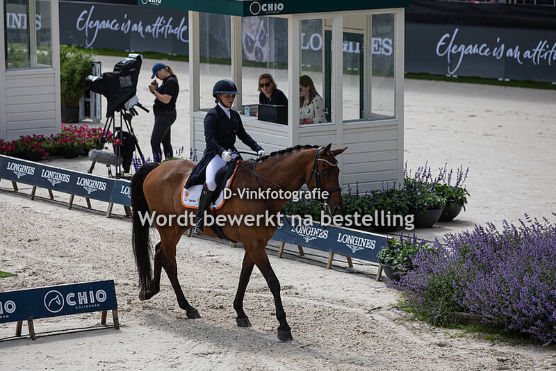 Rowena Weggelaar - Klieveer's Don Quichot