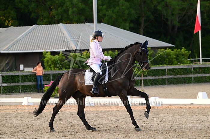 Jade Verschoor - Brown Boy RFS