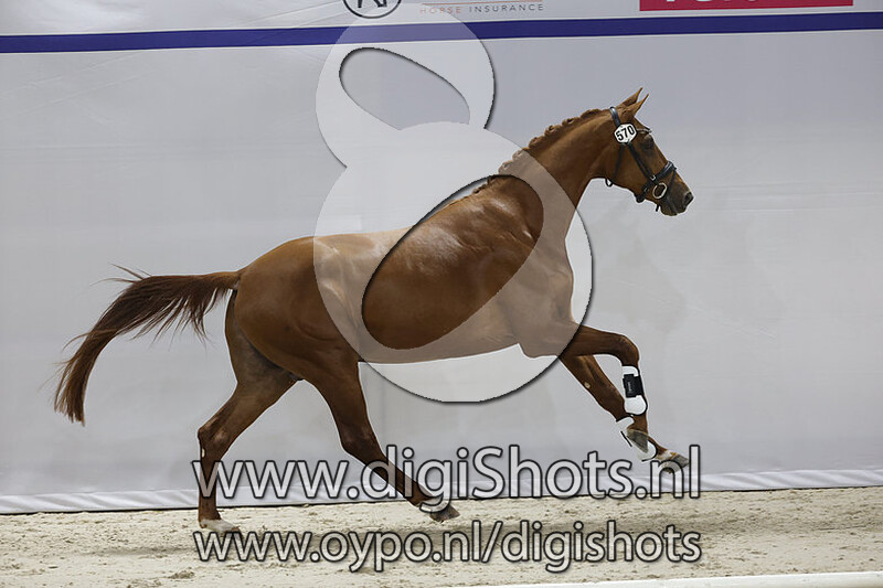 Oliver Twist v. Valverde