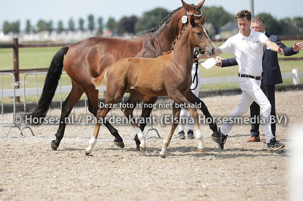 29 Sarika Toto (Glock's toto jr x Madora v. Chippendale)