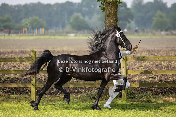 04. Nanne D van Rijnwoude