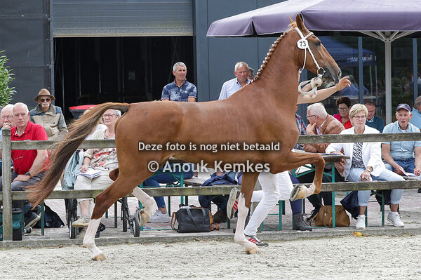 073 - NADIA FANTIJN X JONKER G.W. ZUIDEMA-VAN DAM, LIERDERHOLTHUIS S. ARDESCH, LEMELE