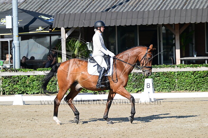 Kim Schooneman - Amigo