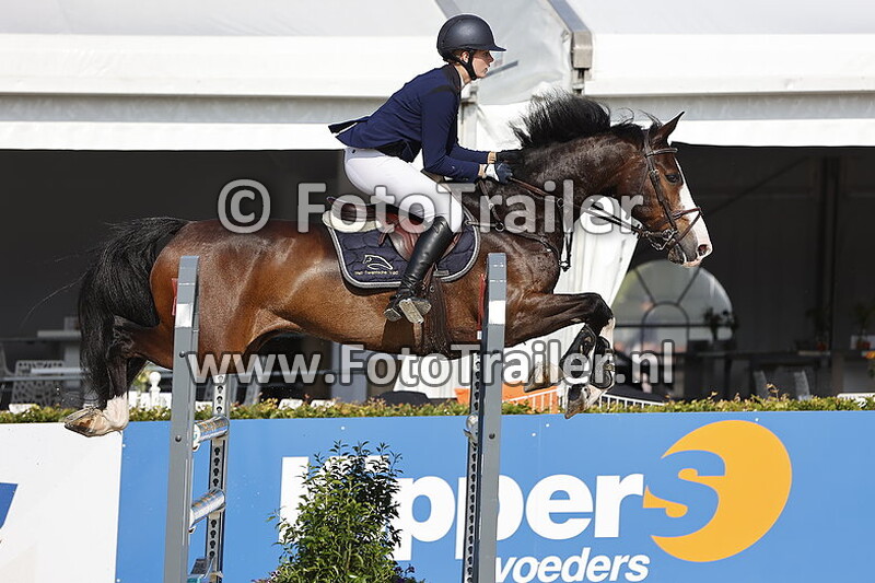 rowan van leijenhorst