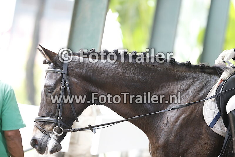 Audirania Amanda Putri