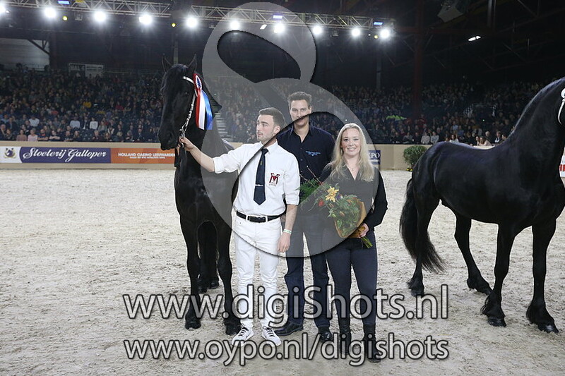 Auke van nico stables