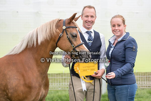 Barren Mares Section B