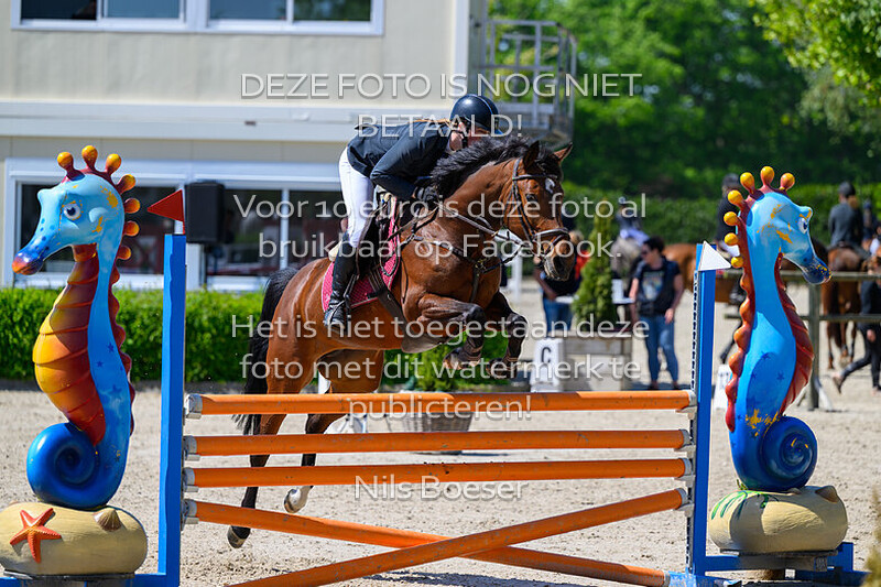 3 vrijdag 1.10m paarden