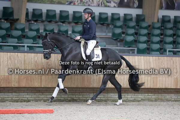 31 Ni-Sia Dream vh Trichelhof (Dream Boy x Gwyana vh Trichelhof v. Lord leatherdale)