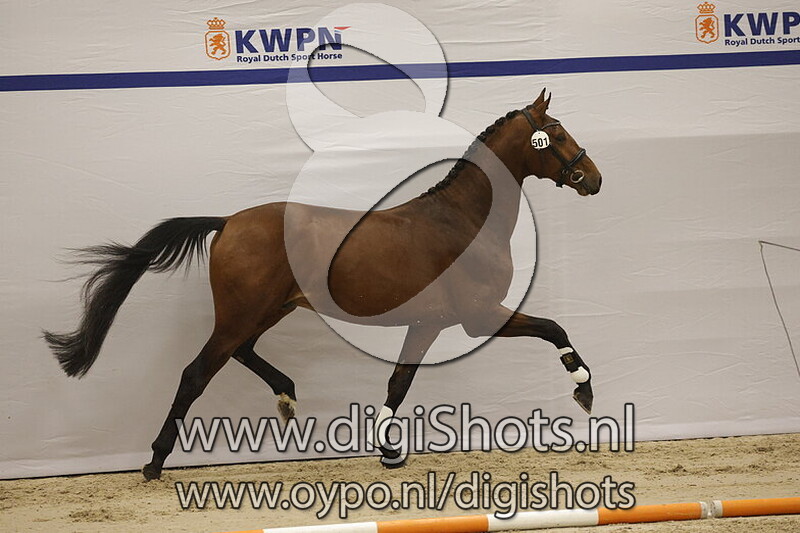 Santiago Cyan T v. So Perfect