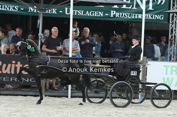 Hackney Kleine Limiet