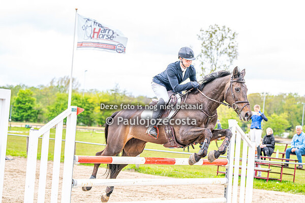 Springen NHRV Aerdenhout 120cm Paarden