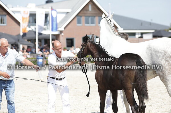 20 Tunita (Baltic VDL x Guanita v. Corland)