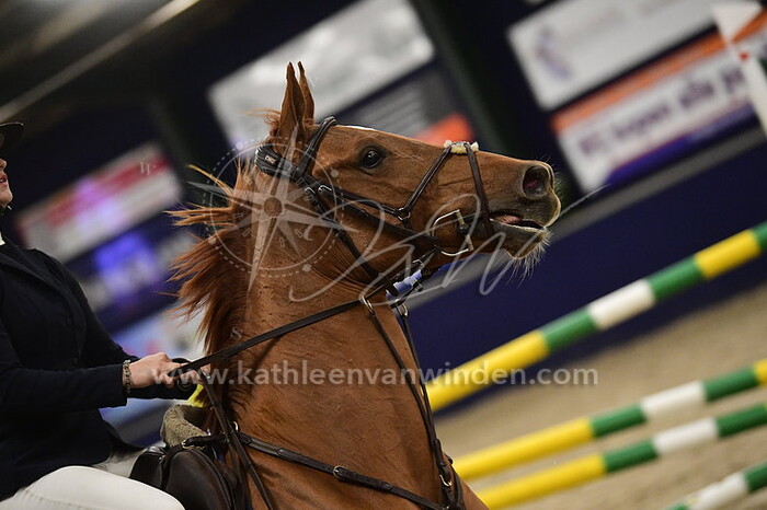 Lieke Windhagen - Rimini de Rigo