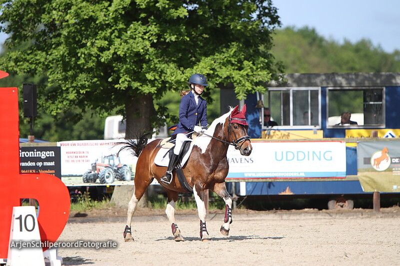 Hippisch Festijn PSV Polarfurst Pony's 70cm