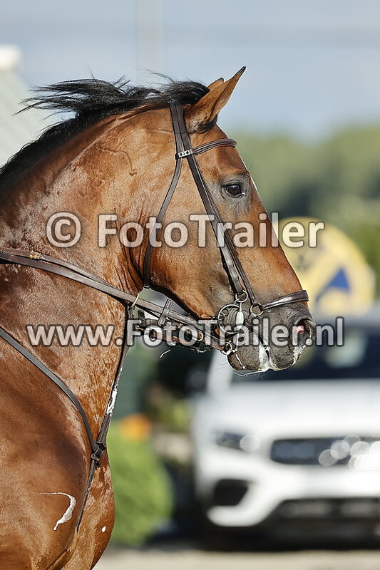 federico sandoval sanabria