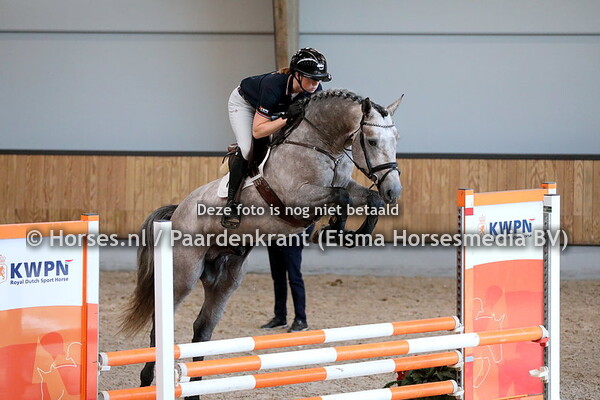 14-05-2024 KWPN VO springen + fokkers