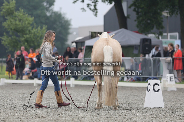 Clinic Amber de Tollenaere