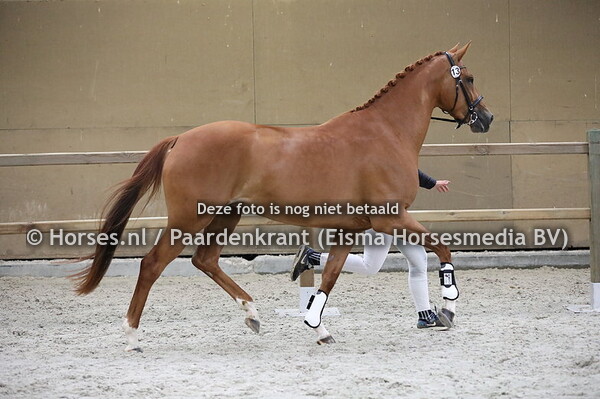 13 Maylene Reina v Toto jr