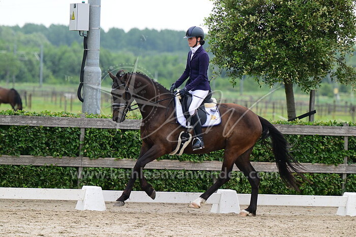 Marike Rigter - Real Pleasure