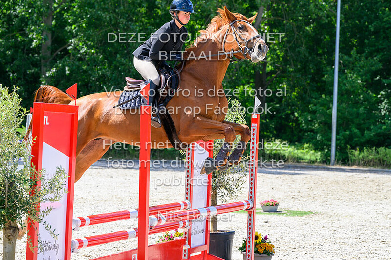 12 Rijstijl paarden 0.90 cm ZB