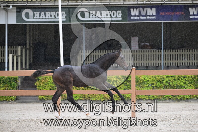 Upon Request RWO - 086