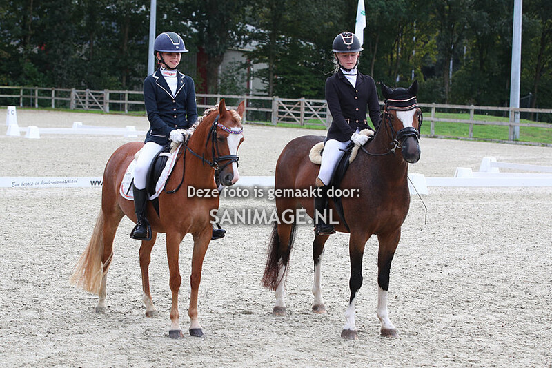 Nationale Welsh Sportdag 23-09-2023 Showring Bestgaand mennen/rijpony en kampioenen