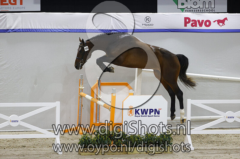 Nova v. Hernandez TN