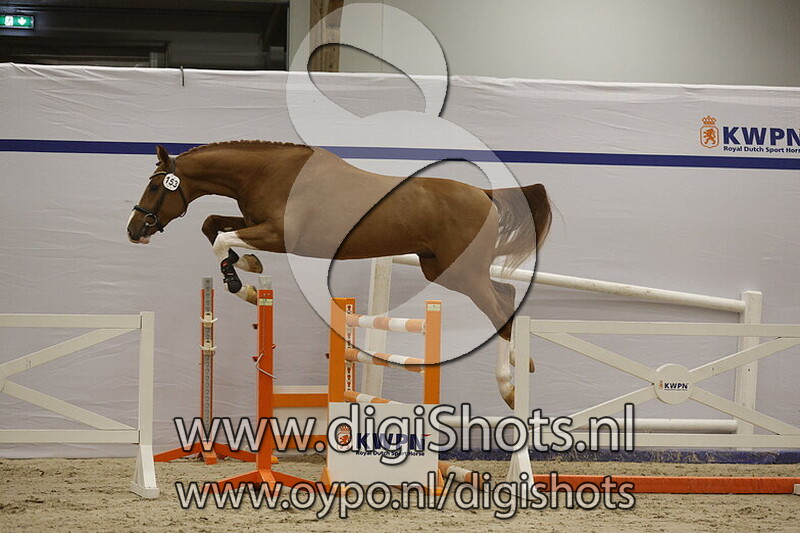 Uricas van t Gebergte Z v. Uricas vd Kattevennen