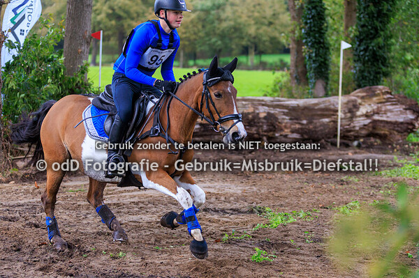Eventing Barchem pony B 26-10-25