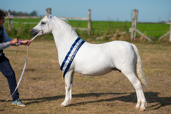 Rheinland Regionalschau