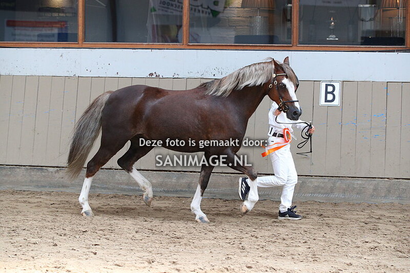 NWPCS Centrale Keuring Houten 23-08-2025 Gebruikersrubrieken binnenmanege