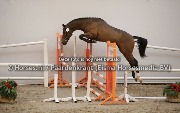 191209 KWPN 1e bez dag 6 Springen 2019