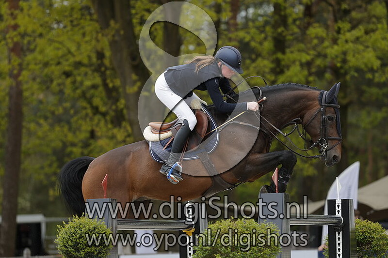 Kwitoulon vd Laarseheide