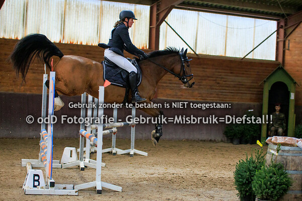 Indoor SGW Springen Paarden BB 29-12-23