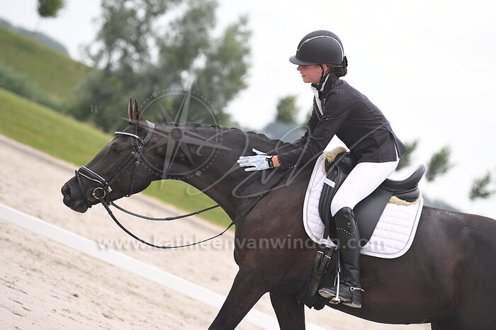 Klasse L1 pony's