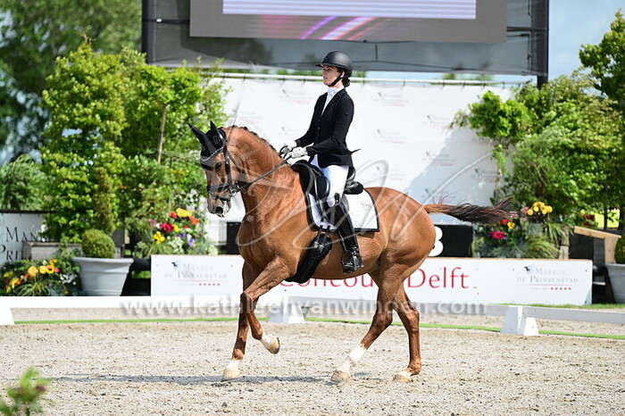 Louise Hoek - Jaza LS