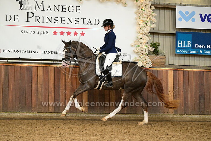 Estelle Knook - Sugar Queen