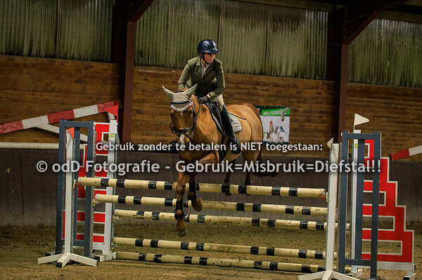 Indoor SGW Springen Paarden L en M 29-12-23
