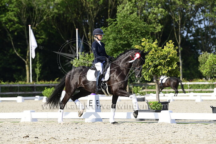 Jesslin Vinkesteijn - Mississippi