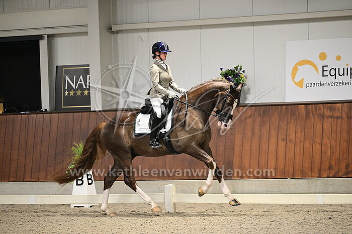 Jose van Haaren - Rafa