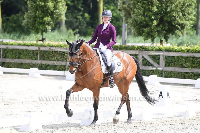 Sanne van der Stam - Nouveaux-Art