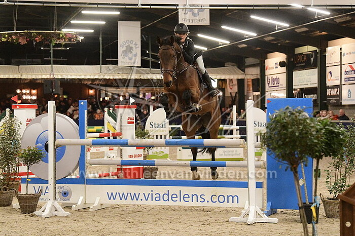 Erica Dijkshoorn - Gradino