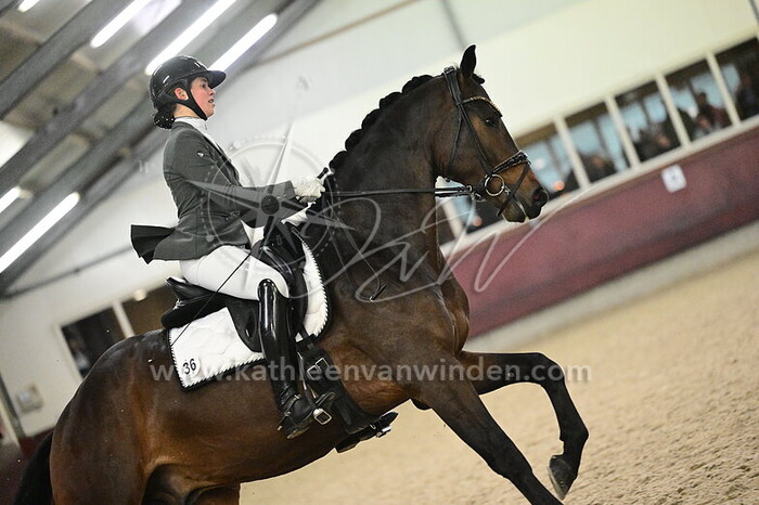 Geertje Hoogendoorn - Shaanxi